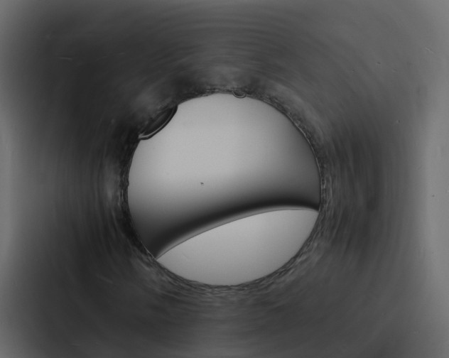 X0000088131058200705140953