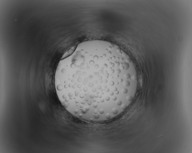 X0000088131059200705140953