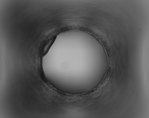 X0000088131061200705140953