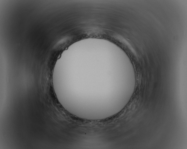 X0000088131063200705140953