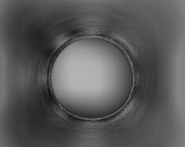 X0000088131065200705140952