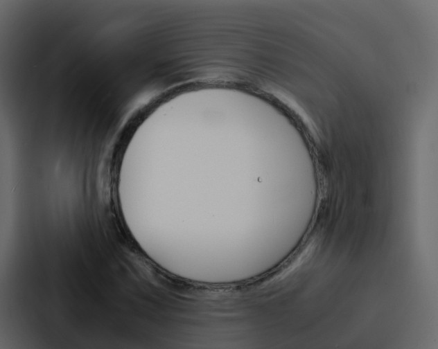 X0000088131067200705140952
