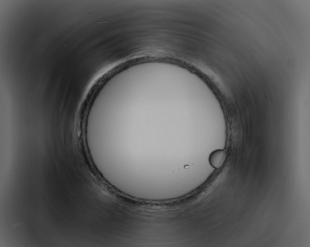 X0000088131070200705140952