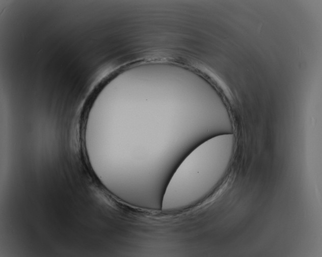 X0000088131075200705140952
