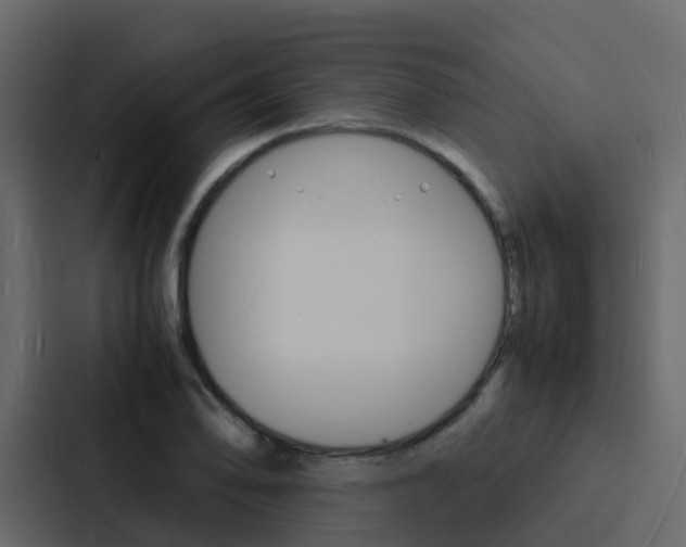 X0000088131078200705140952
