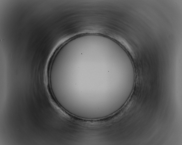 X0000088131080200705140952