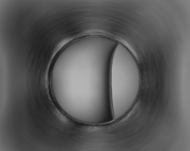 X0000088131082200705140952