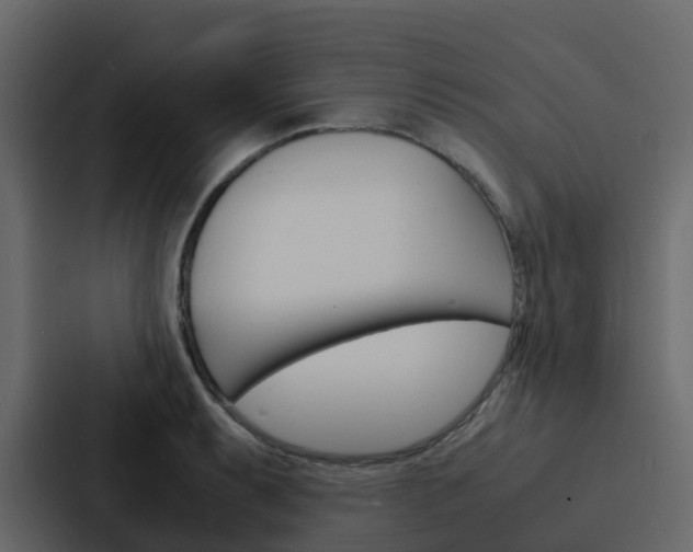 X0000088131087200705140952