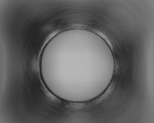 X0000088131090200705140952