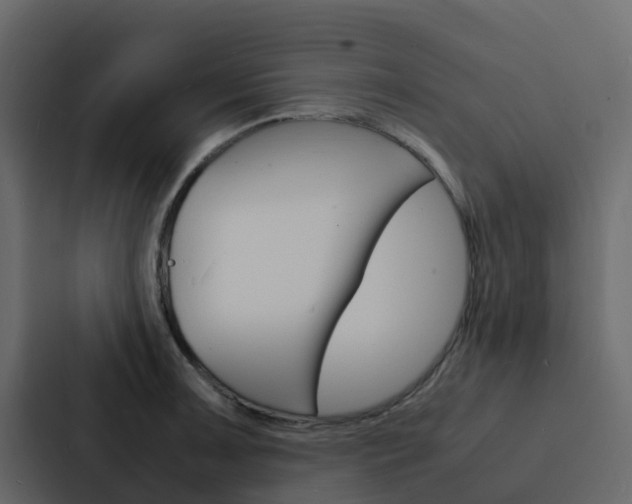 X0000088131091200705140952
