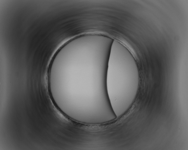 X0000088131092200705140952