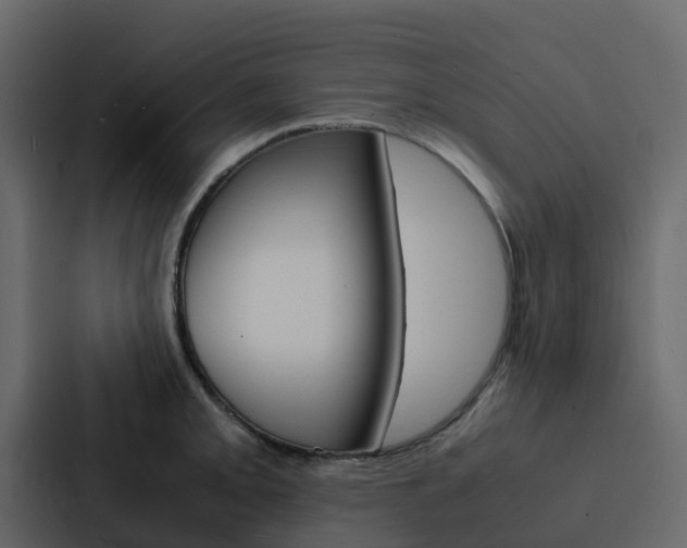 X0000088131093200705140952