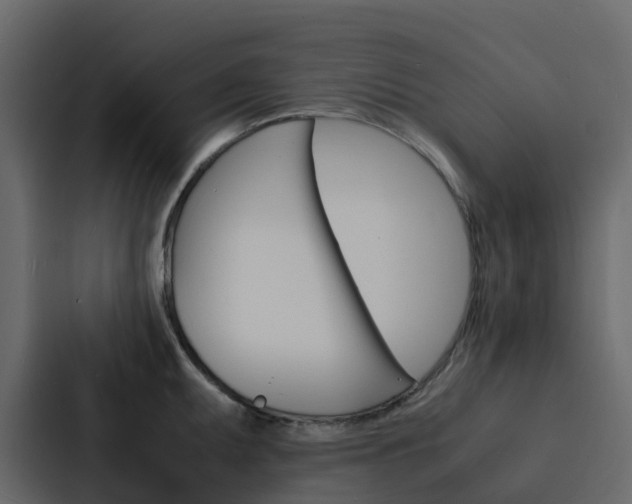 X0000088131095200705140952
