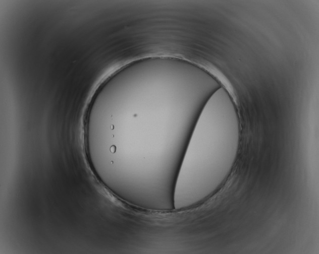 X0000088131096200705140952