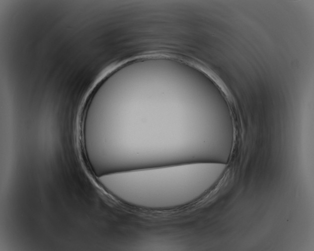 X0000088131101200705140952