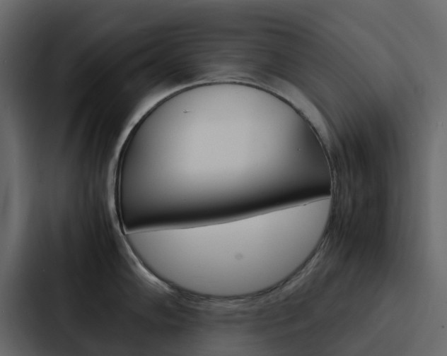 X0000088131102200705140952