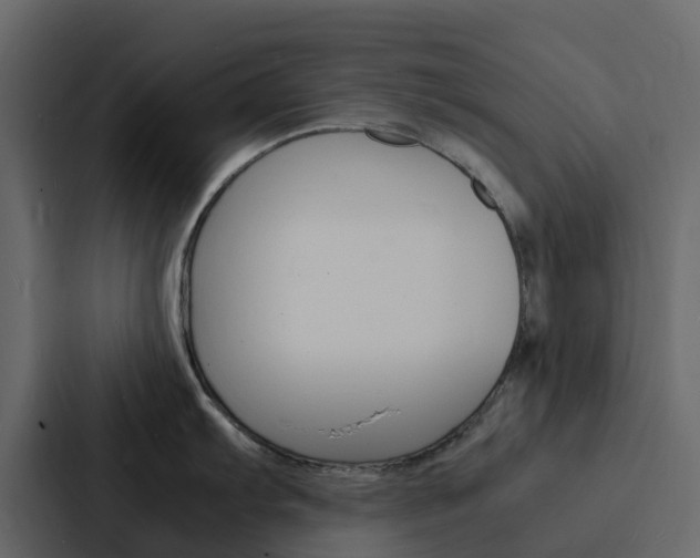 X0000088131103200705140952