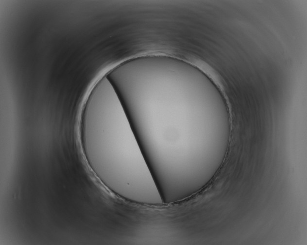 X0000088131104200705140952