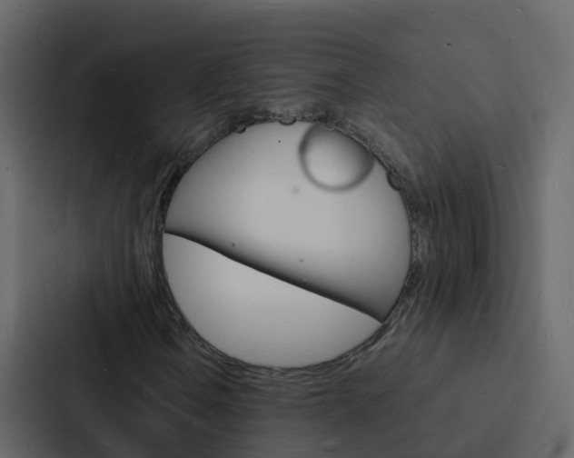 X0000088131106200705140951
