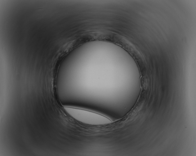 X0000088131108200705140951