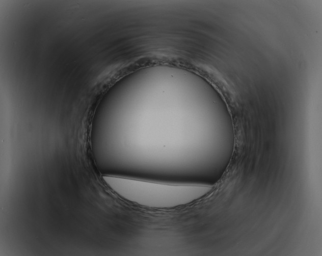 X0000088131110200705140951