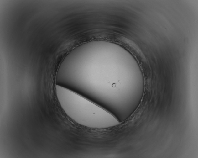 X0000088131111200705140951