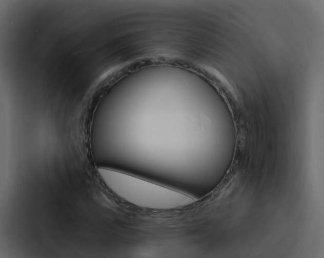 X0000088131112200705140951