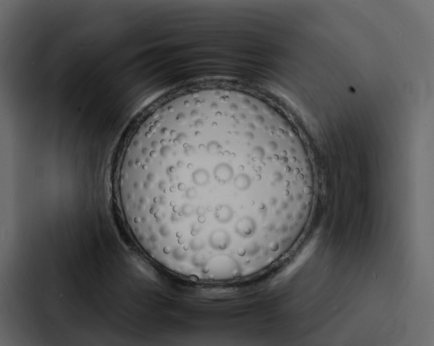 X0000088131113200705140951