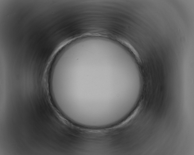 X0000088131114200705140951