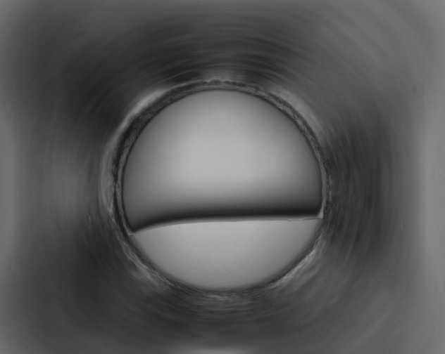 X0000088131115200705140951