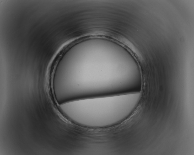 X0000088131116200705140951