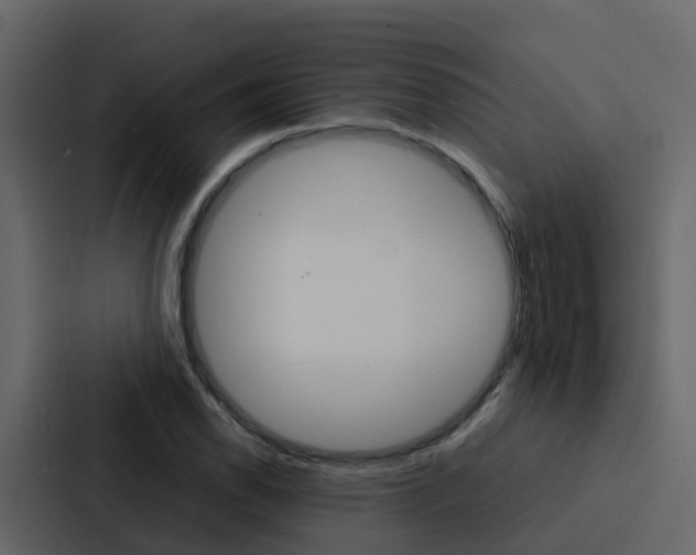 X0000088131118200705140952