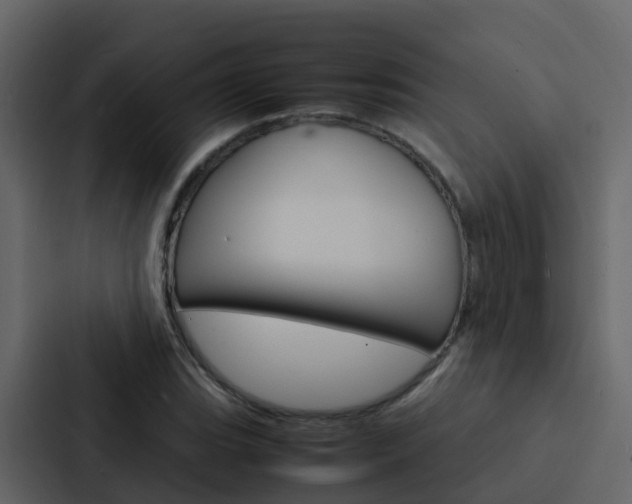 X0000088131119200705140952