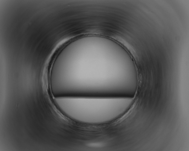 X0000088131123200705140952