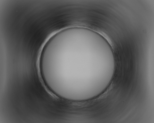 X0000088131128200705140952