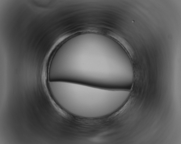 X0000088131131200705140952