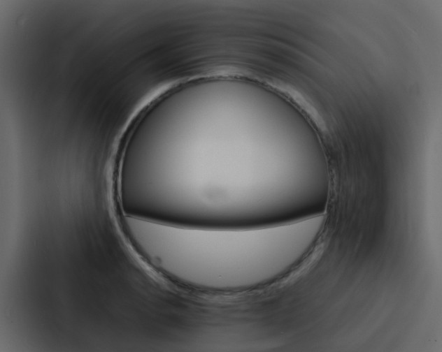 X0000088131134200705140952