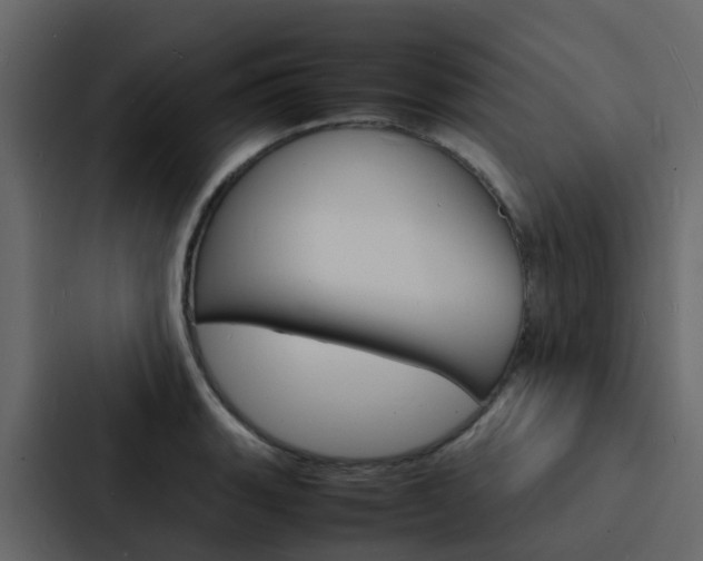 X0000088131135200705140952