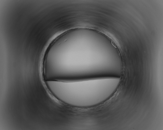 X0000088131136200705140952