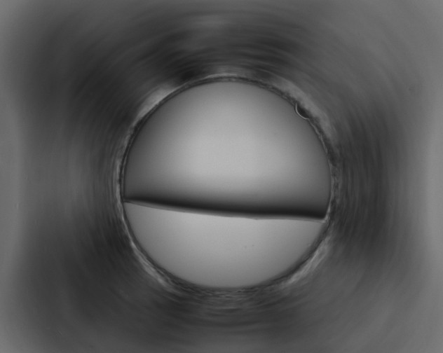 X0000088131137200705140952
