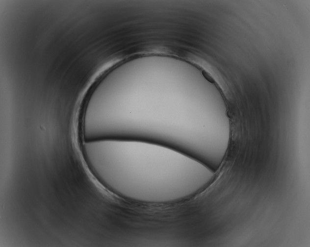 X0000088131139200705140952