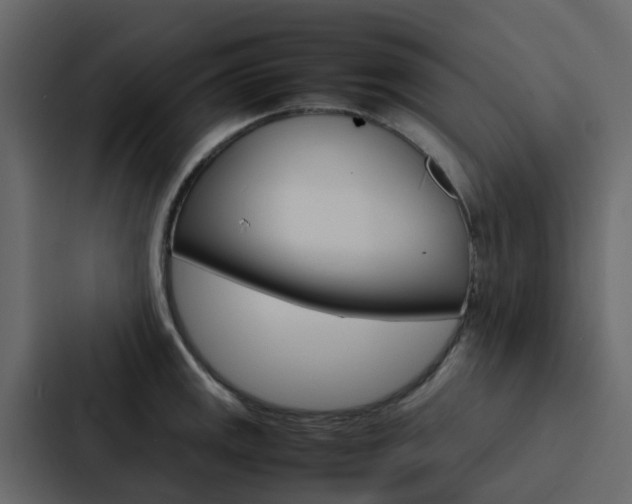 X0000088131141200705140952