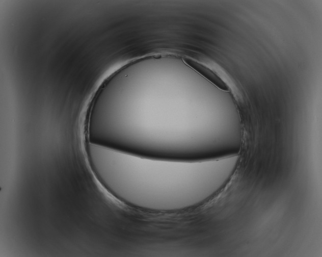 X0000088131143200705140952