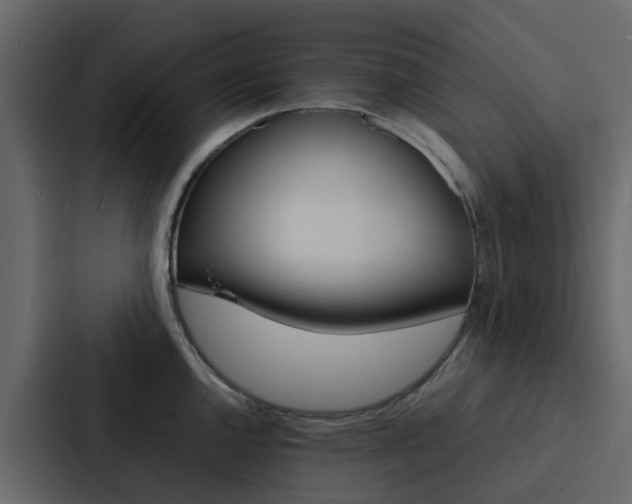 X0000088131144200705140952