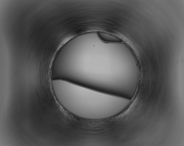 X0000088131145200705140952