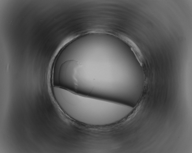 X0000088131146200705140952