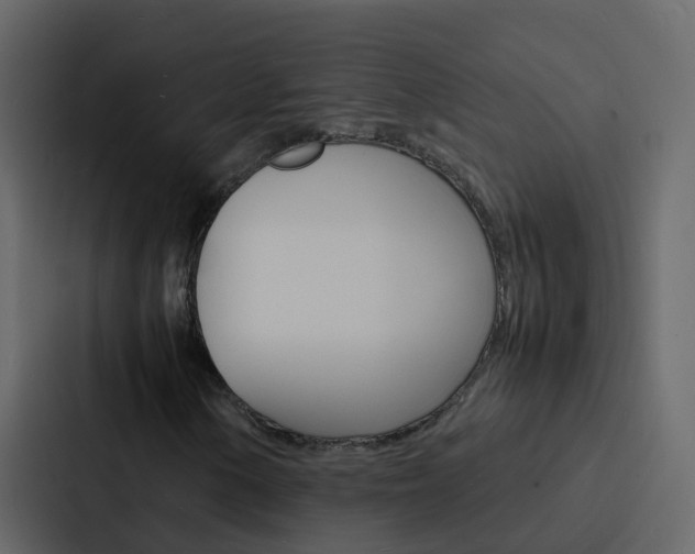 X0000088131154200705140951