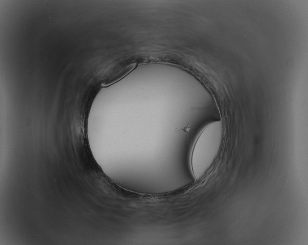 X0000088131155200705140951