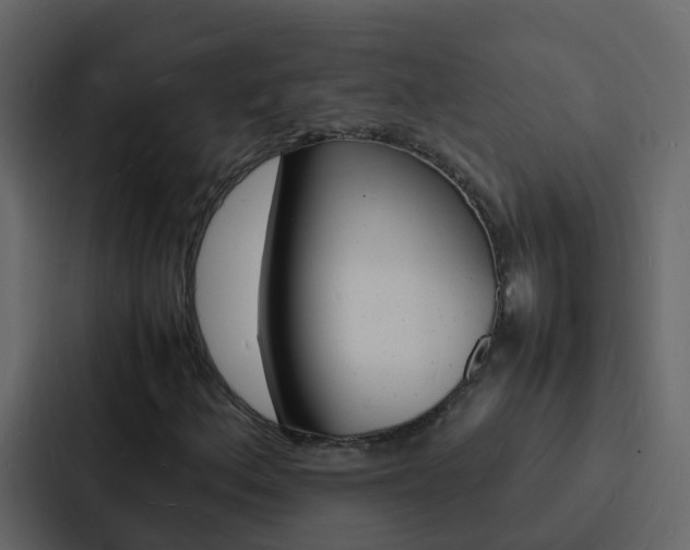 X0000088131156200705140951