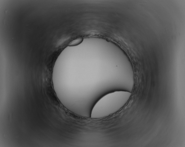 X0000088131158200705140951